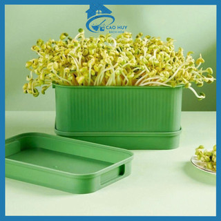  Khay Trồng Giá Đỗ Đa Năng Có Nắp Đậy Khay Làm Giá Đỗ Hộp Làm Rau Mầm Sạch Tại Nhà Bằng Nhựa Cao Cấp 