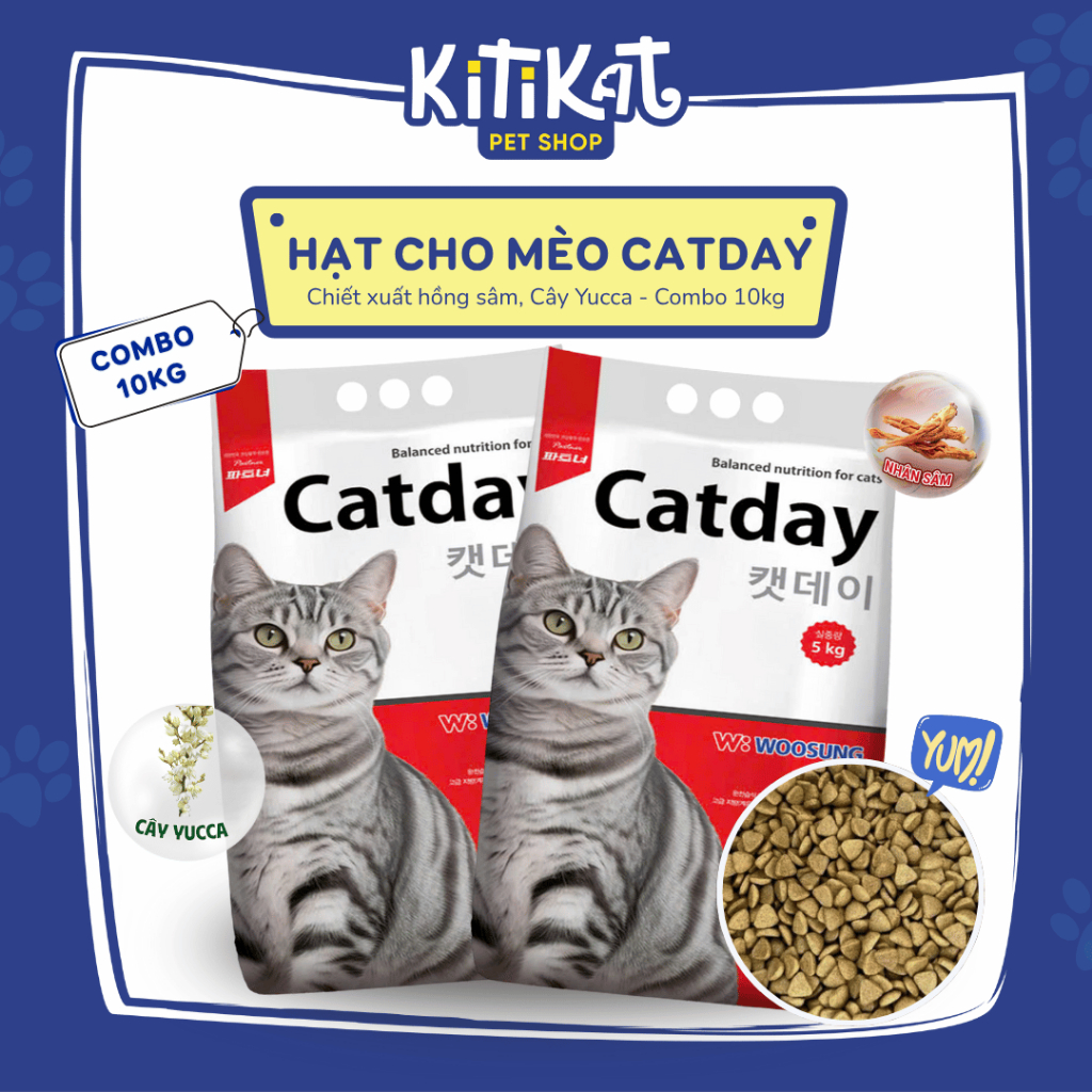 [COMBO 10KG] Hạt cho mèo CATDAY thương hiệu Hàn Quốc - hồng sâm tăng đề kháng, giúp mèo khỏe mạnh