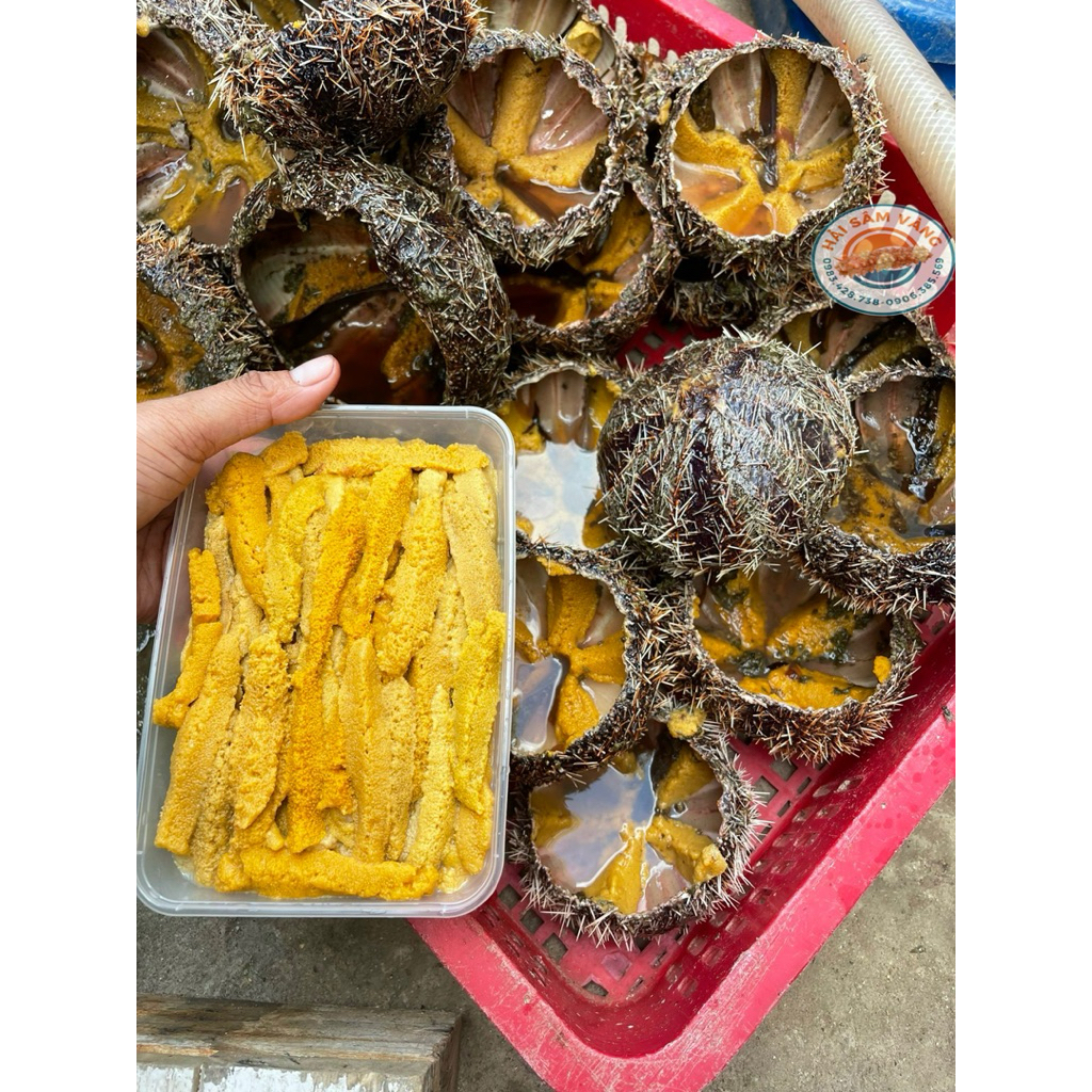 GẠCH NHUM SỌ VÀNG BIỂN NHA TRANG ( Khay 500gram)
