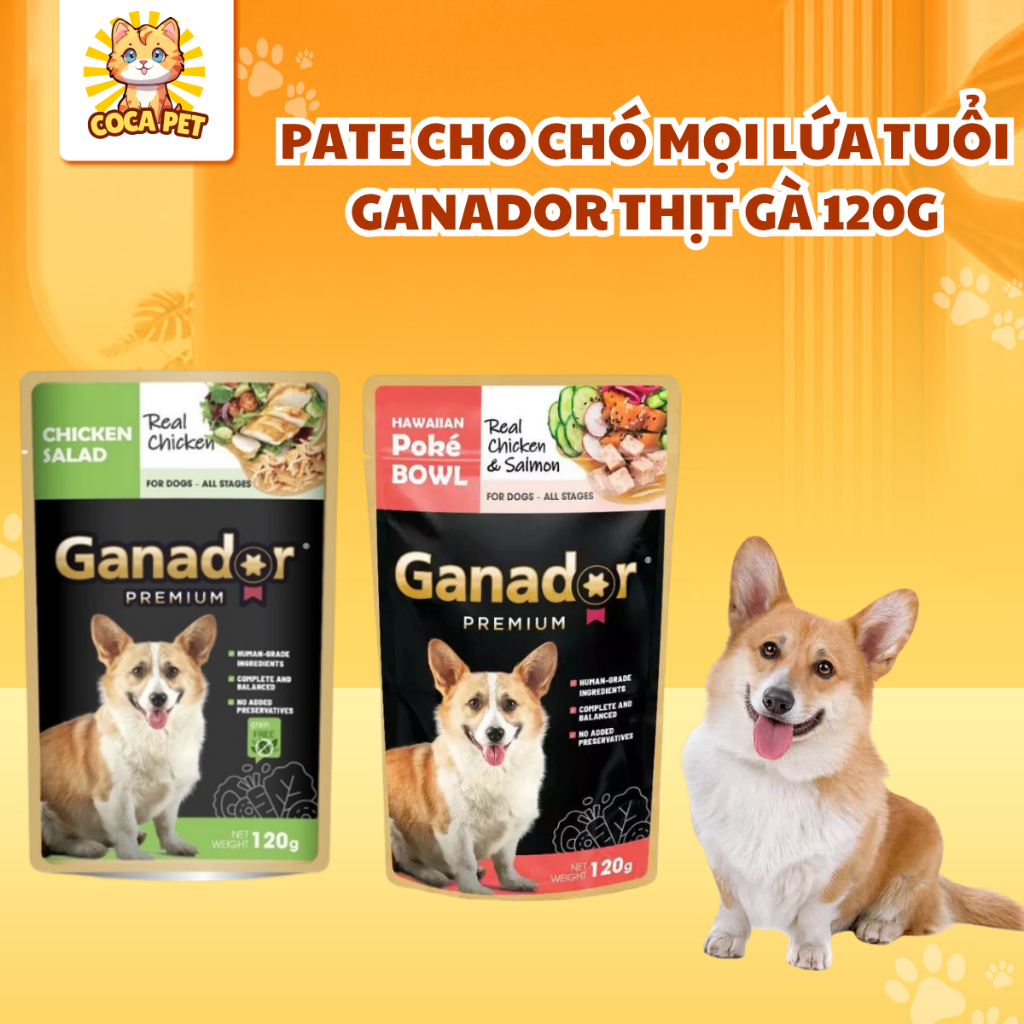 COMBO Pate Ganador Cho Chó Mọi Lứa Tuổi  Gói 120g Giàu Dinh Dưỡng, Thơm Ngon Dễ Ăn Coca Pet