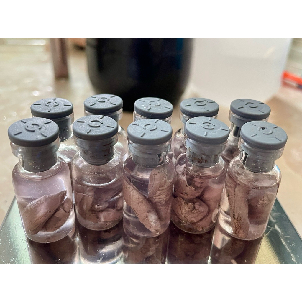 Sodium metal (Na) Kim loại natri 10.0 gam