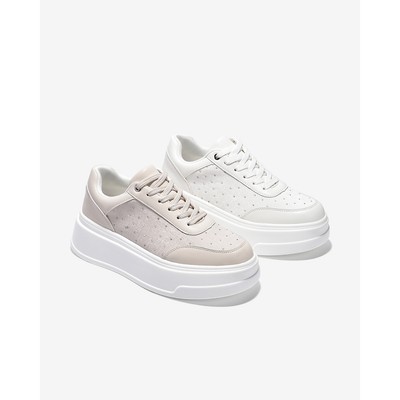 Giày Thể Thao Zuciani The Trend Walkers N05 - GFD05