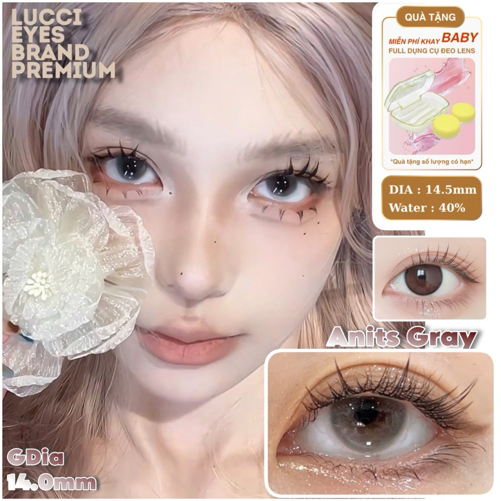 Anist Gray - Dia 14.5mm - GDia 14.0mm