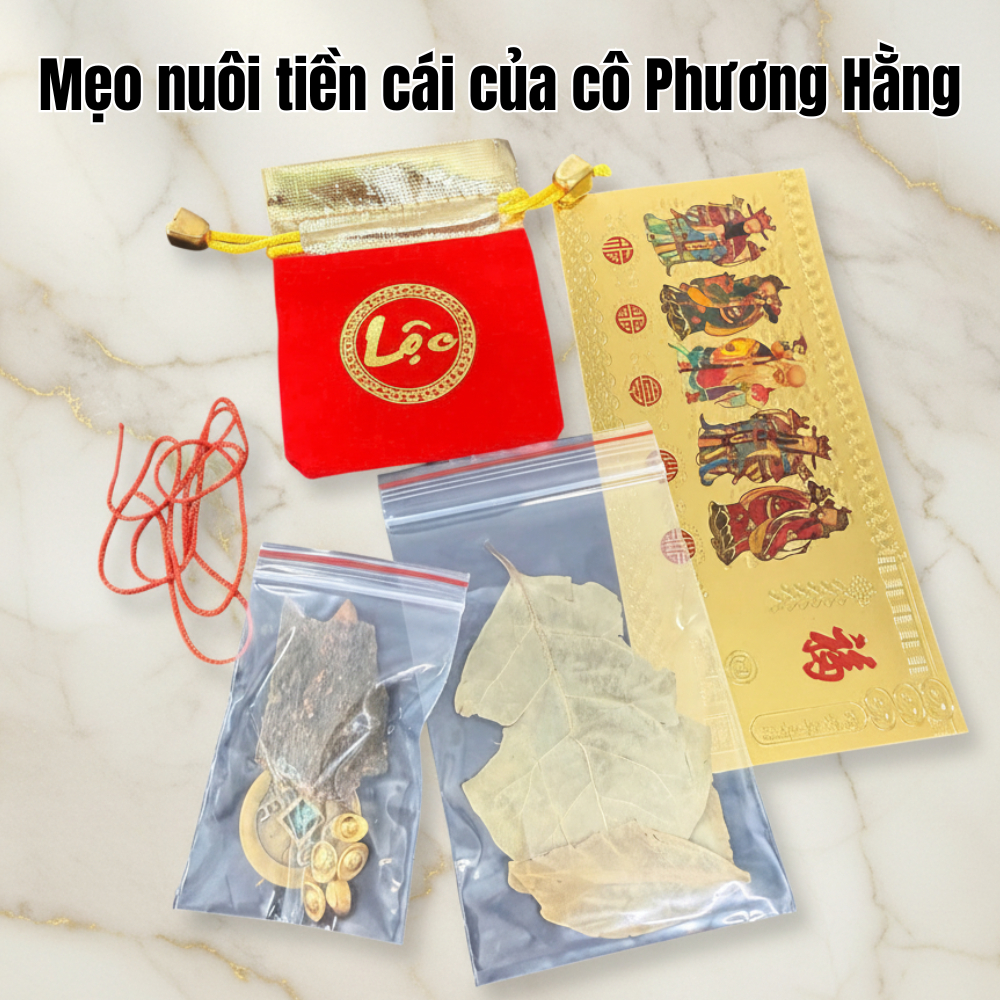 Bộ Ngũ Lộc 6 món Chiêu Tài Phong Thủy Đài Loan - Cách nuôi tiề.n cái chuẩn, hút lộc đầu năm