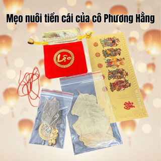 Bộ Ngũ Lộc 6 món Chiêu Tài Phong Thủy Đài Loan - Cách nuôi tiề.n cái chuẩn, hút lộc đầu năm