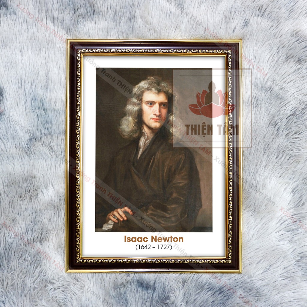 Tranh Nhà Bác Học Isaac Newton 36x48cm bằng vải bóng khung composite xịn xò