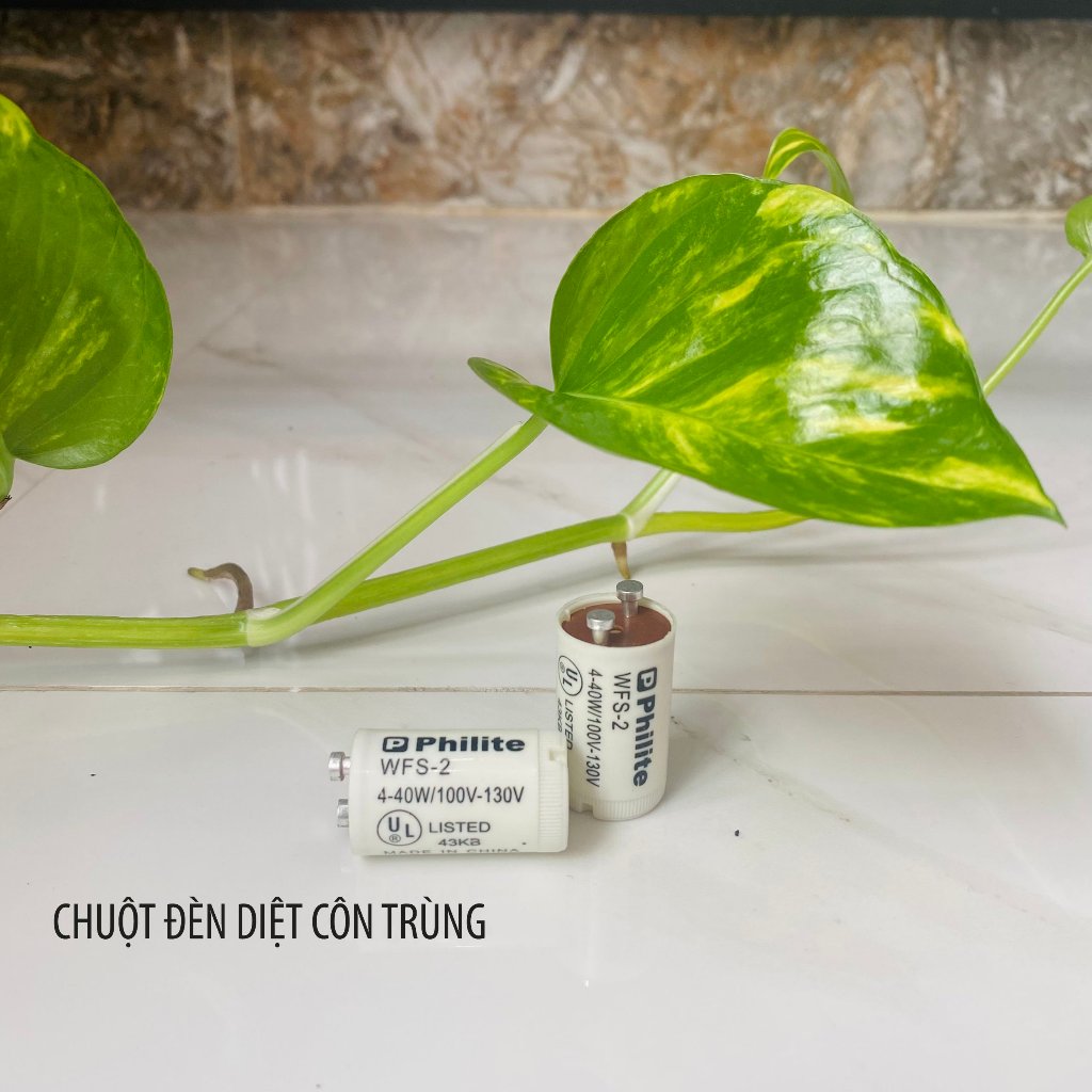 CHUỘT PHILITE ( DÙNG CHO ĐÈN DIỆT CÔN TRÙNG )