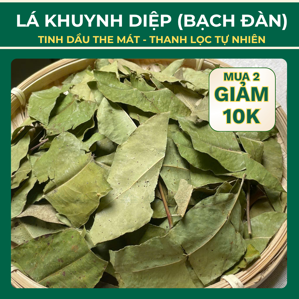 Lá khuynh diệp (lá bạch đàn) khô tự nhiên – Xông giải cảm thư giãn, thanh lọc không khí, nhà cửa