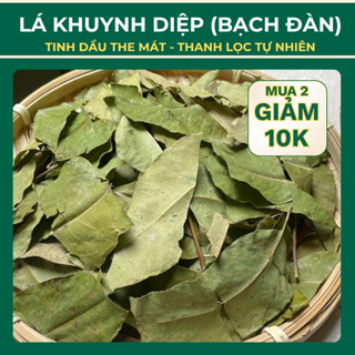 Lá khuynh diệp (lá bạch đàn) khô tự nhiên – Xông giải cảm thư giãn, thanh lọc không khí, nhà cửa