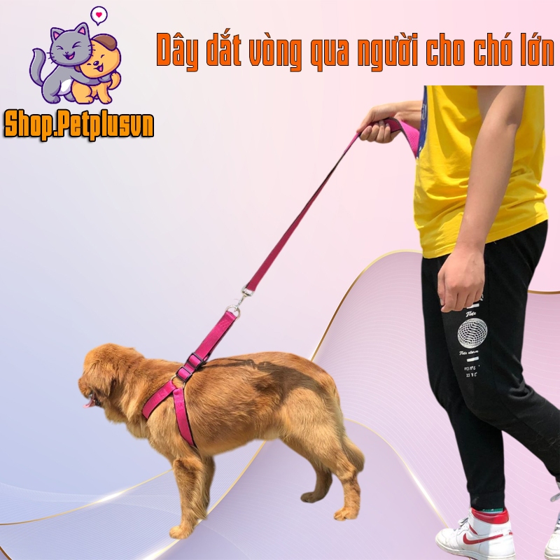 Dây dắt yếm chó lớn đi dạo vòng qua người
