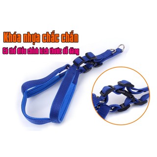 Dây dắt yếm chó lớn đi dạo vòng qua người