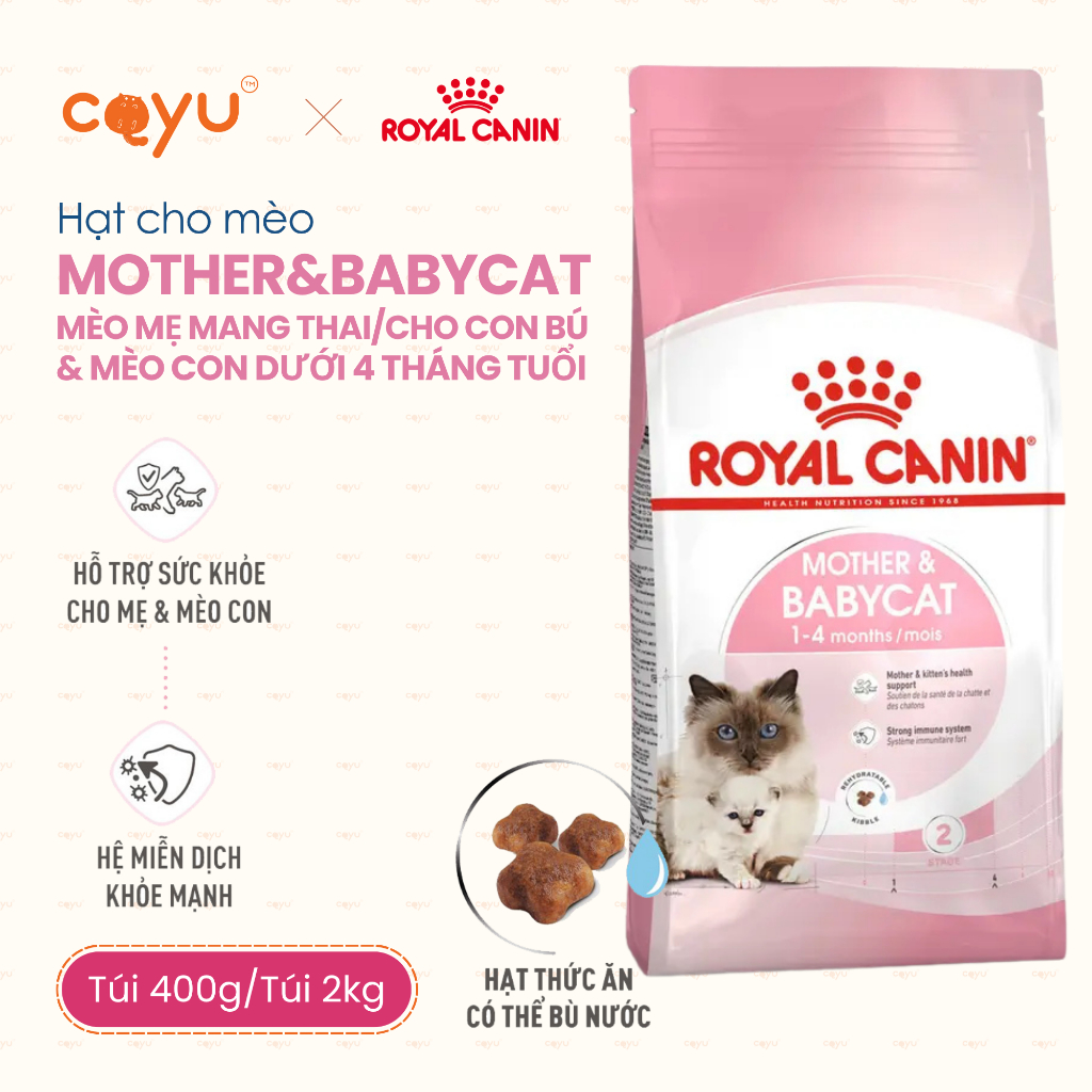 Thức Ăn Mèo Hạt - Royal Canin Mother & Baby Cat - Mèo Mang Thai & Cho Con Bú - Coyu