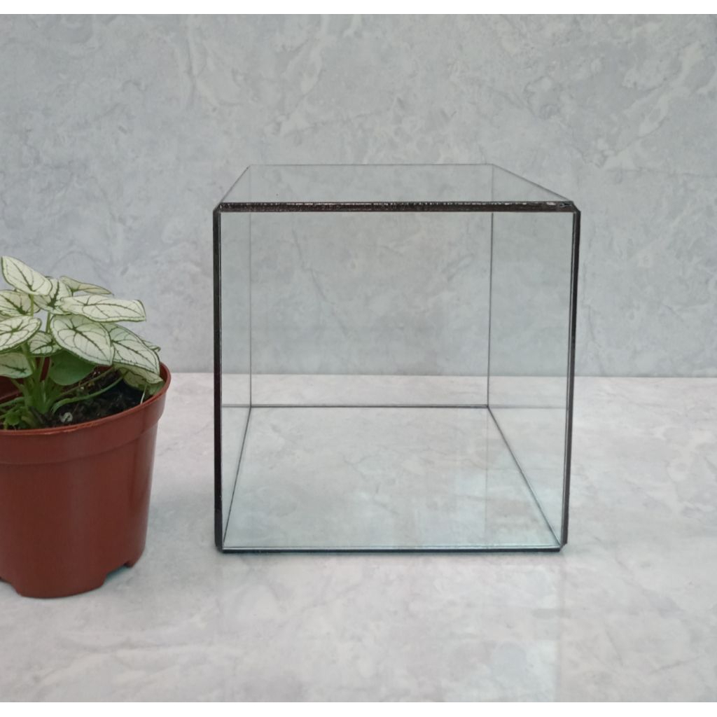 Bể terrarium vuông, Kính tự dán- Thích hợp làm terrarium, trang trí không gian sống, làm việc, học t