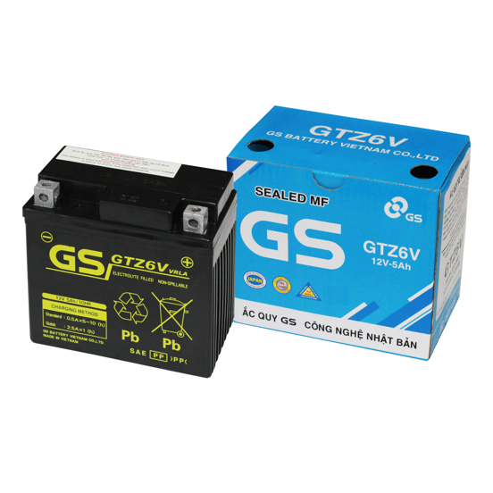 Bình ắc quy GS GTZ6V (12V- 5AH) dành cho xe HONDA, YAMAHA, SUZUKI