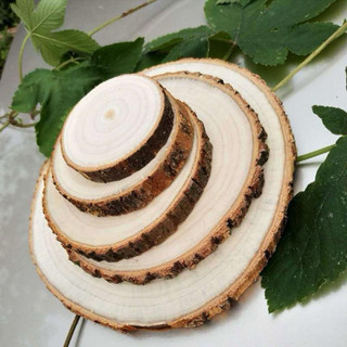 Lát gỗ thông Từ 4-11cm decor trang trí Giáng Sinh Làm Đồ Handmade - Khoanh gỗ Đế gỗ làm cây thông Noel 2026
