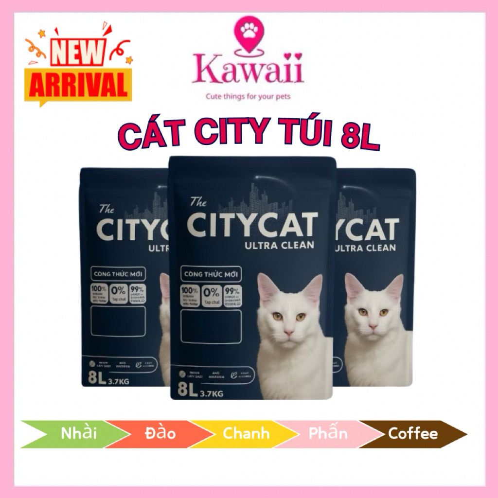 [TẢI 7 bao] CÁT VỆ SINH CHO MÈO CITYCAT THẤM HÚT KHỬ MÙI TỐT
