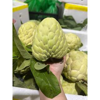 [Giao Hỏa Tốc HCM] Na Thái - 500g