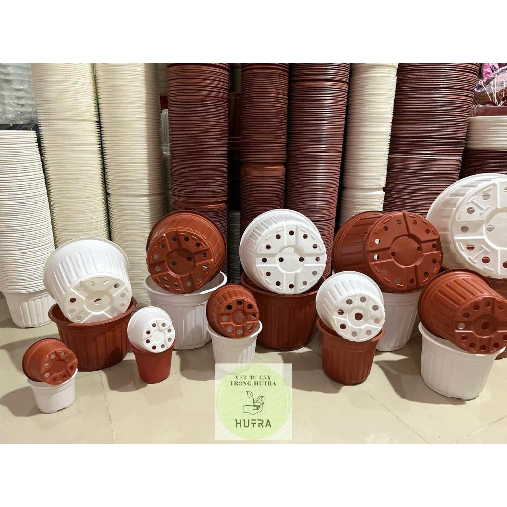 Combo 5-10 Chậu nhựa trồng cây - ươm cây (có 8size: 10.5-12-15-18-23-26-30-35cm)