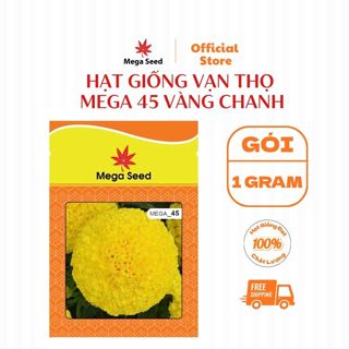  Hạt giống hoa vạn thọ MEGA 45 Thái F1 vàng chanh cổ lùn – Bông tròn nhụy xanh cây khỏe dễ trồng 