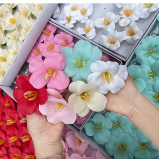  Hoa SÁP TULIP NỞ - Hộp 25 bông hoa sáp thơm 