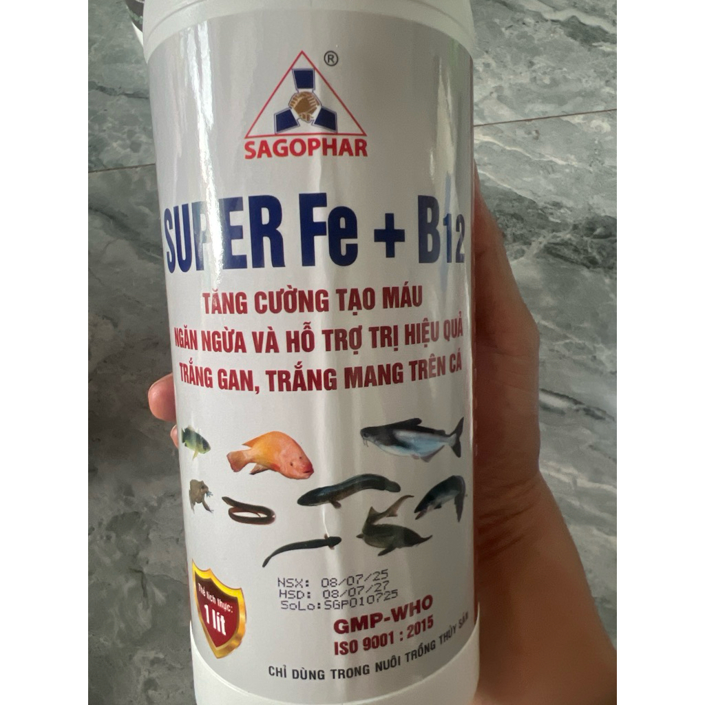 Super Fe B12 Tạo máu