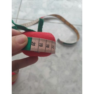 ĐỒ CHƠI MẦM NON THỦ CÔNG _ COMBO 5 QUẢ TÁO