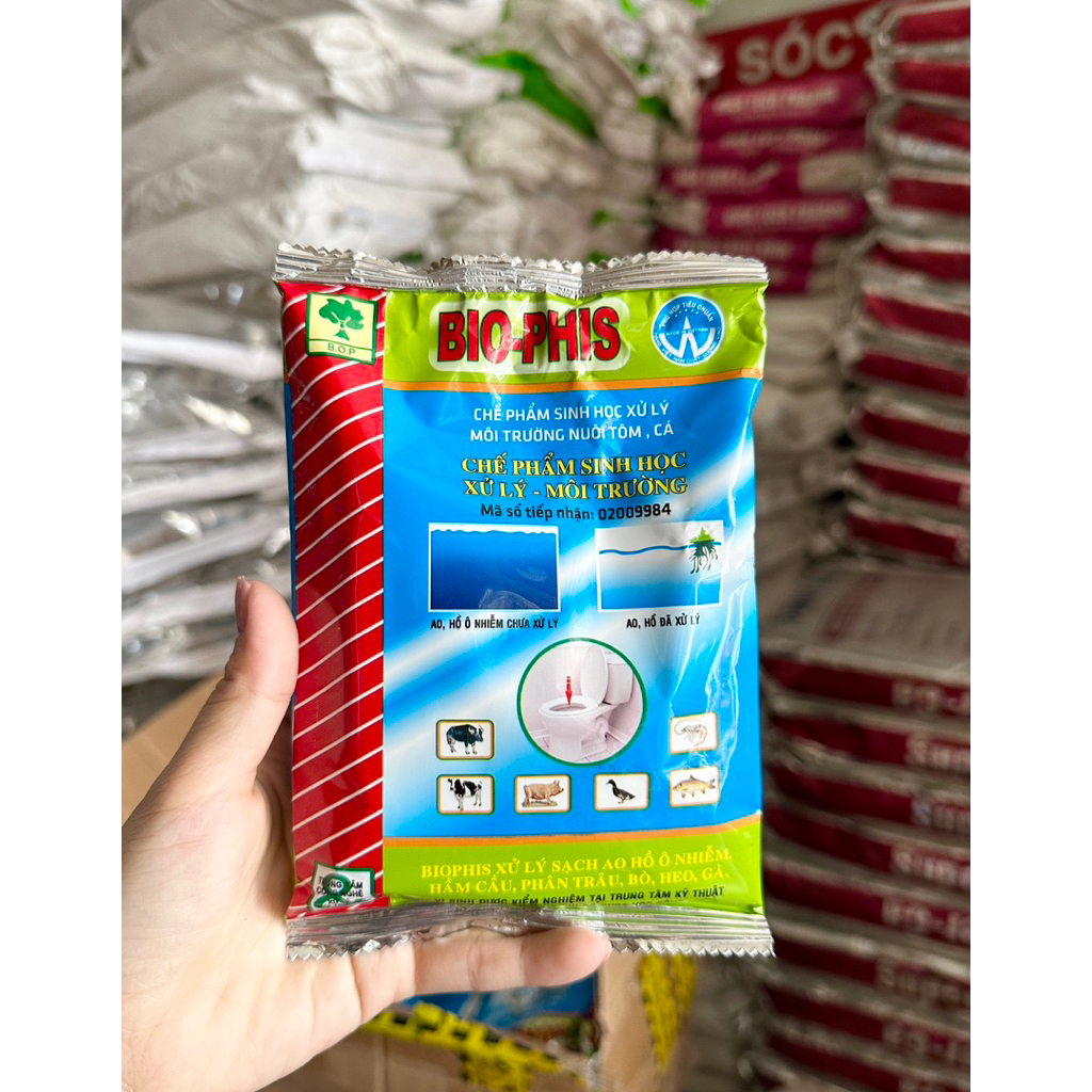Bio Phis - Men hầm cầu xử lý vệ sinh môi trường, khử mùi, xử lý bể phốt, hầm cầu, cặn bã đáy ao, phâ