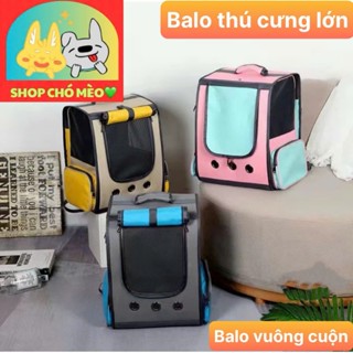  Balo vuông lưới cuộn cao cấp cho chó mèo lớn tới 10kg - SHOP CHÓ MÈO 