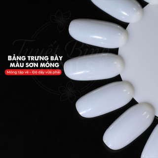 Combo 2 Vỉ Móng Tròn Trưng Bày Mẫu Màu Sơn | Nhựa Cứng Cao Cấp Trong Suốt/Trắng