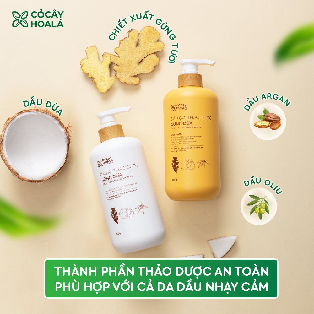  12.12 COMBO Dầu Gội Xả Thảo Dược Gừng Dừa Cỏ Cây Hoa Lá - 650g chai Tặng Kèm Túi Vải 