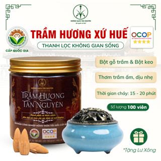 [OCOP 4 SAO - TẶNG LƯ XÔNG] Hộp nụ trầm hương Tân Nguyên 100 viên, thanh lọc không khí, thơm dịu, xông nhà, khử ẩm