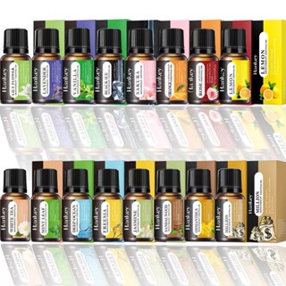 Tinh Dầu Mộc Xông Thơm Phòng - Khử mùi, thanh lọc không khí [6 mùi hương]