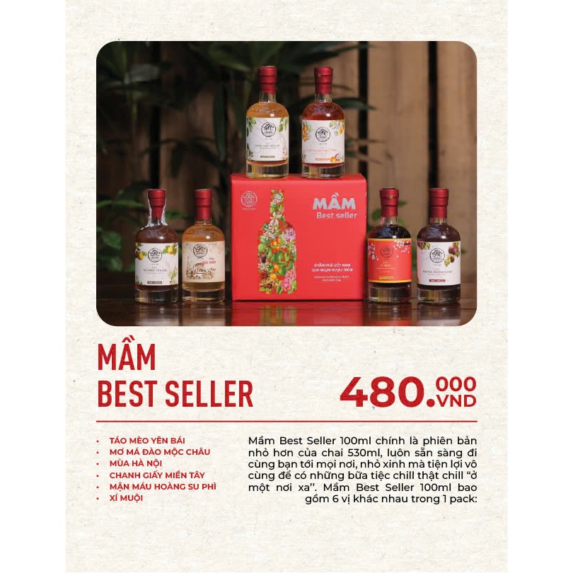 Bộ Quà Tặng Mầm Mini Bestseller Ý Nghĩa