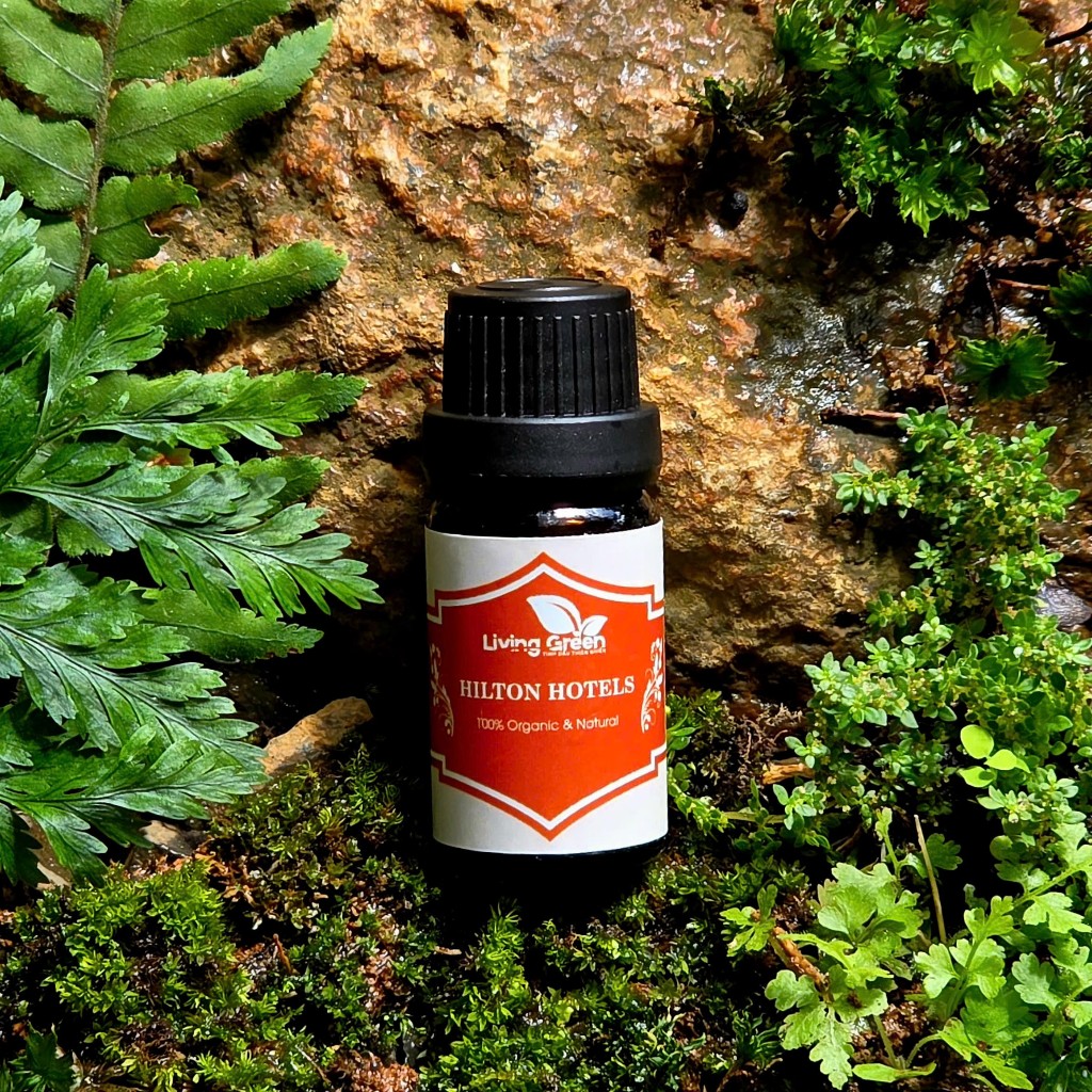 Tinh dầu thơm Hilton Hotels - Living Green Mùi hương khách sạn Hilton sang trọng, tạo dấu ấn đẳng cấ