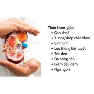 SET THẬN ( DINH DƯỠNG TỐI ƯU )
