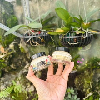 [ Đọc lưu ý - Có tách lẻ ] Set BB 2 hũ Alice Bảng Limited edition Face Base 50ml