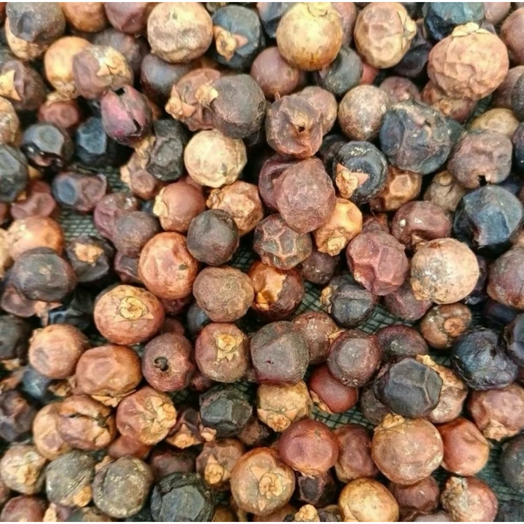 Trái đủng đỉnh khô