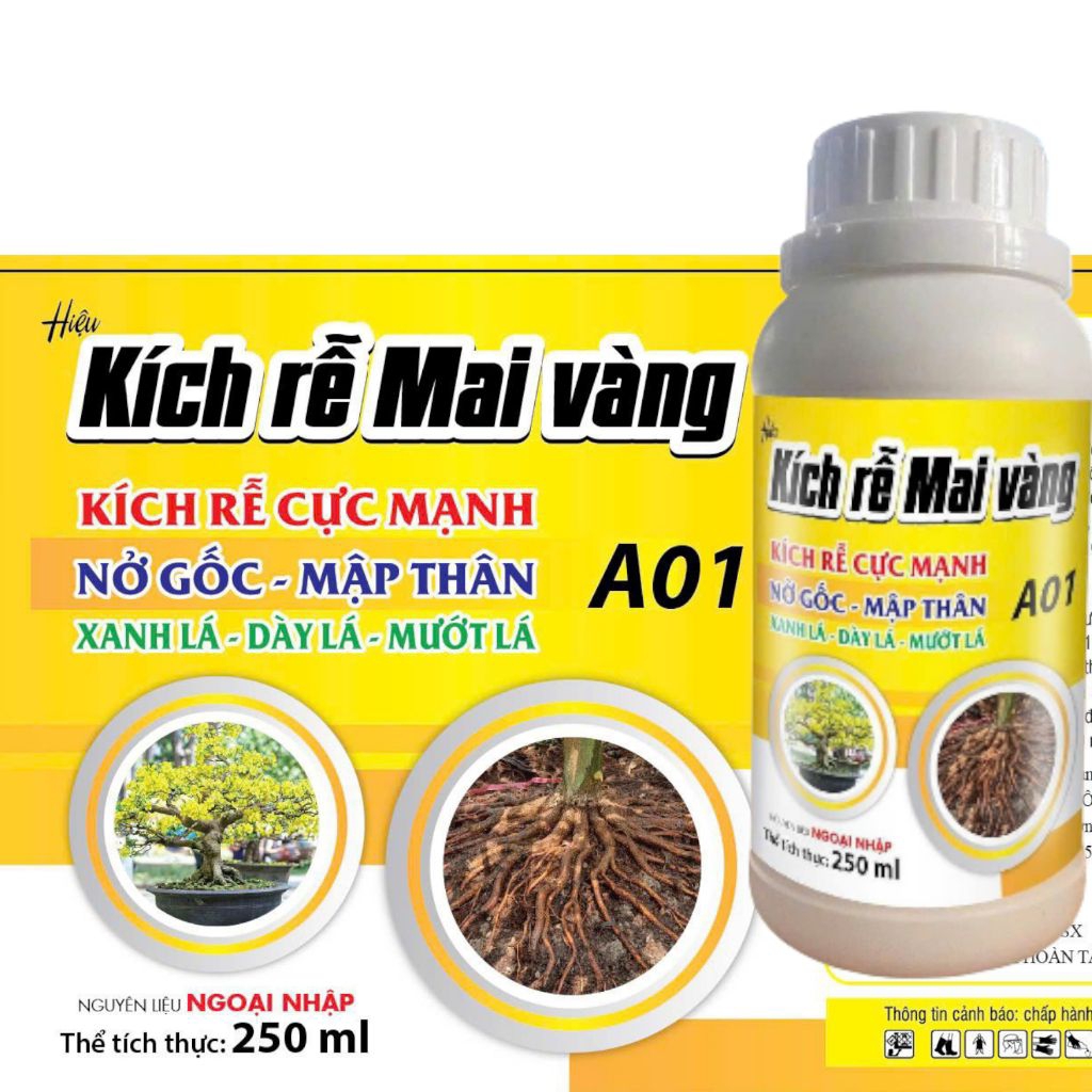 Kích Rễ Mai Vàng A01, 250ml A01 kích rễ cho mai vàng và các loại cây
