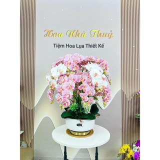  Chậu hoa lan cao su ướt phủ 5D bao gồm chậu sứ mạ vàng cao cấp 