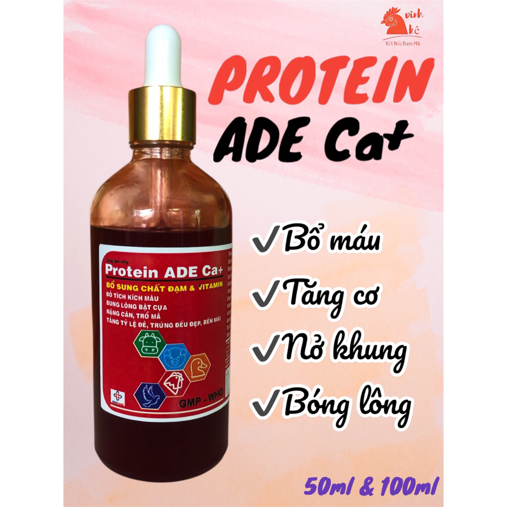 PROTEIN ADE CA+ - Nuôi gà tơ - Chai chiết 50ml và 100ml