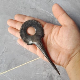 Lưỡi nạo dừa