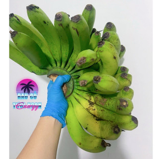 Nải >3kg Chuối Laba Đà Lạt. Hàng lựa [Hoả tốc HCM]
