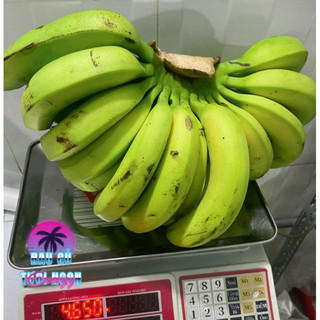 Nải >3kg Chuối Laba Đà Lạt. Hàng lựa [Hoả tốc HCM]