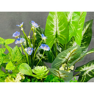HÀNG RÀO CÂY CỎ ZS TRUNG 30cm