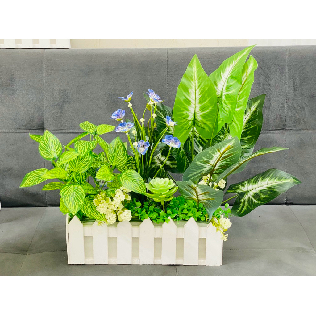 HÀNG RÀO CÂY CỎ ZS TRUNG 30cm