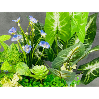 HÀNG RÀO CÂY CỎ ZS TRUNG 30cm