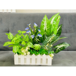 HÀNG RÀO CÂY CỎ ZS TRUNG 30cm