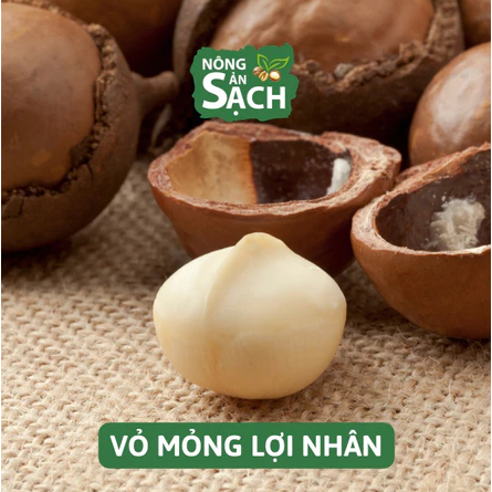 1Kg Hạt Macca Lâm Đồng Hạt mắc ca Nông Sản Sạch, Hạt Macca Sấy Nứt Vỏ