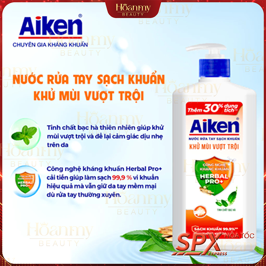 Nước rửa tay Aiken Sạch khuẩn Dưỡng ẩm / Khử mùi 494g
