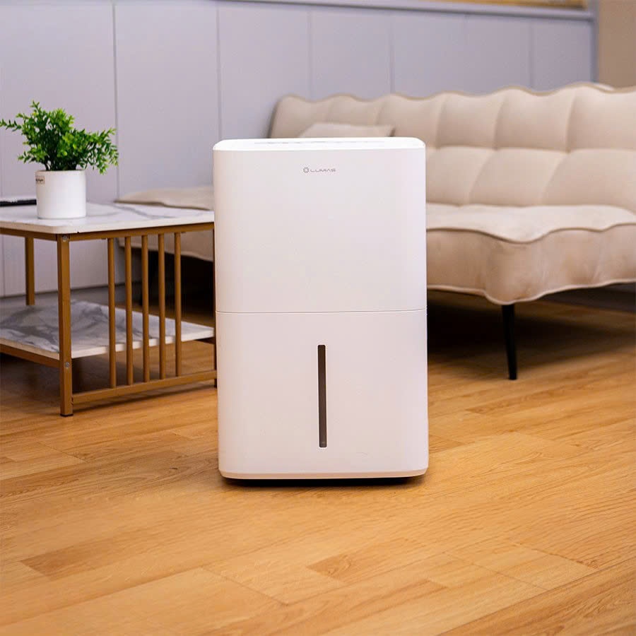 Máy hút ẩm 60L Lumias D6S-60L